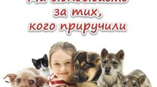 Проєкт " Ми у відповіді за тих. кого приручили"