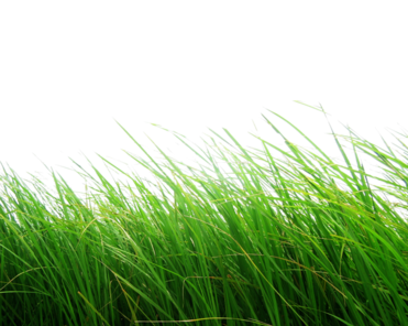02004uij-aa3d-371x296.png
