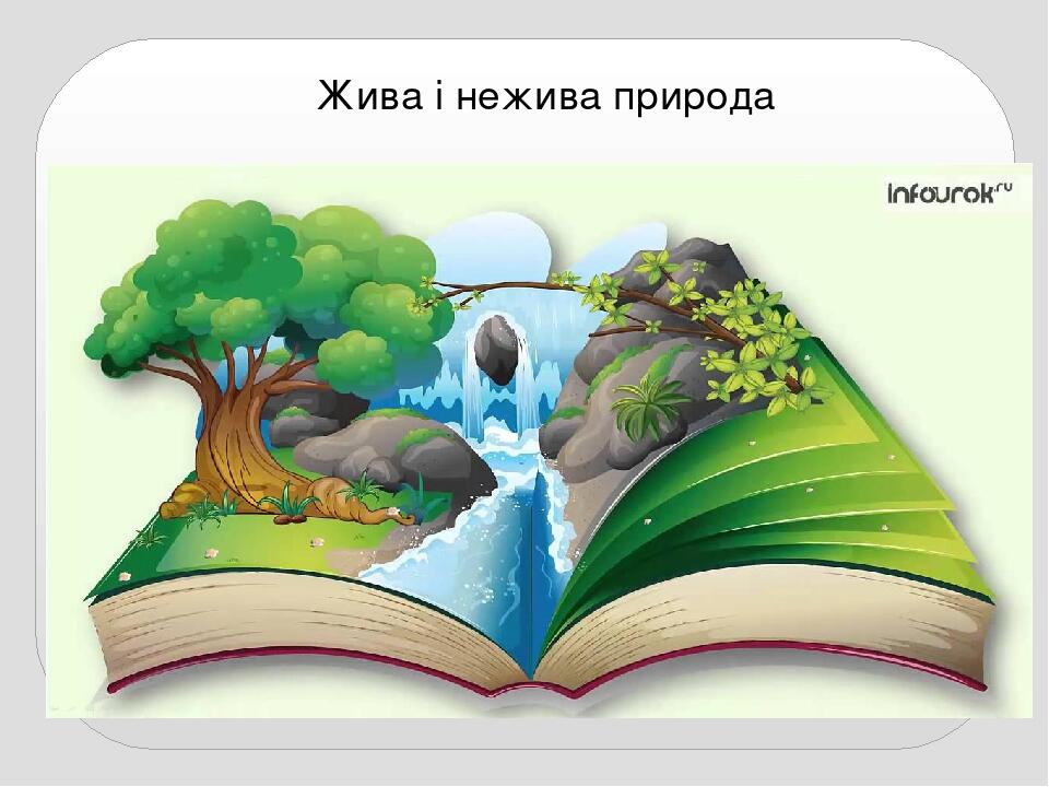 Презентація " Як людина пізнає природу" | Презентація. Природознавство
