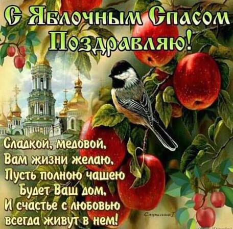 02004vlw-ee5e-456x448.jpg