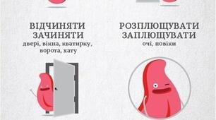 Інтелектуальна гра "Магія слова"