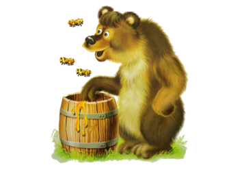 02004x66-5186-338x254.png
