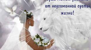 Жизнь прекрасна