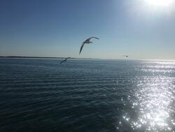 02004z0m-0ac2-250x188.jpg