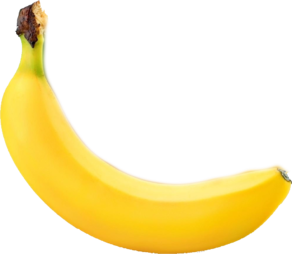 0200515w-2865-292x254.png