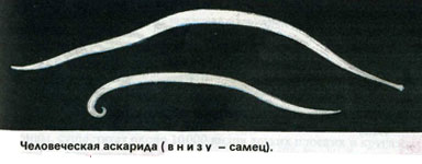 020051ae-bd8f.jpg