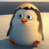020051nz-5423-203x203.gif