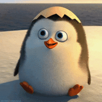 020051nz-5423-203x203.gif