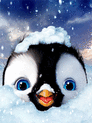 020051t7-e98f-203x271.gif