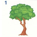 020051yl-8795.png