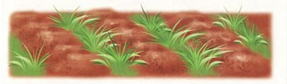 020051ze-9b94-359x105.png