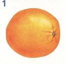020051zk-003b.png