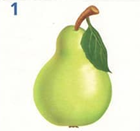 0200520q-6466.png