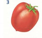 0200520w-0bf5.png