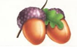 02005214-5a5a.png