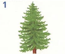 0200521u-d875.png