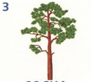 02005221-1a08.png