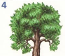 02005223-d46d.png