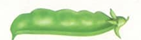 02005230-54f4-334x95.png