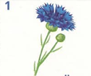 0200523x-6a74.png