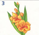 02005242-c53e.png