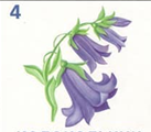 02005247-5386.png