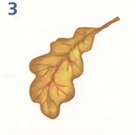 0200524h-7c58-176x175.png