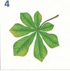 0200524i-2add-166x167.png