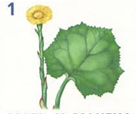 0200524q-884b.png