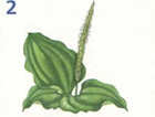 0200524r-281e.png