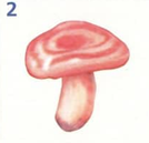 02005257-60a0.png