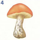 02005258-a3e5.png
