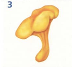 02005259-a861.png