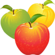 0200528c-2663-111x111.png