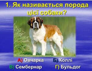 020052dl-7dc4-302x233.jpg