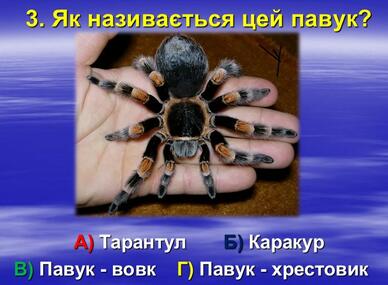 020052dv-3a27-388x285.jpg