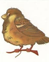 020052fh-b8ac.png