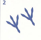 020052fj-369b.png