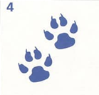 020052fl-34e6.png