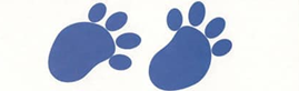 020052fn-a8ab.png