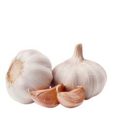 020052ft-f862-232x232.png