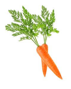 020052g2-1f89-239x299.png