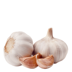 020052g4-2b94-238x238.png