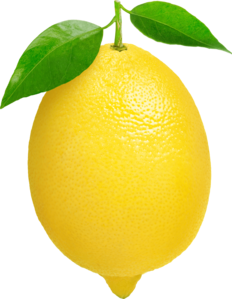 020052gd-6d37-232x299.png