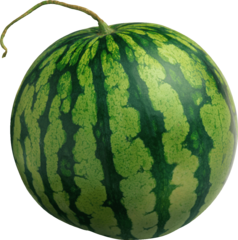 020052gh-f50c-238x240.png
