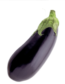 020052ha-336d-215x277.png