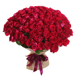 020052j4-bc2e-253x254.png