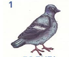 020052nk-c724.png