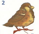 020052np-4e42.png