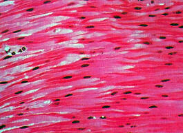 020052os-1dc8-265x193.jpg
